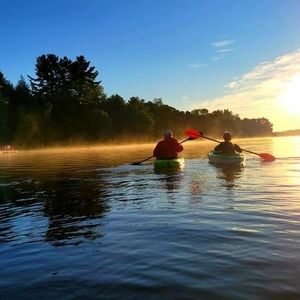 Meet your Posher, Dianne